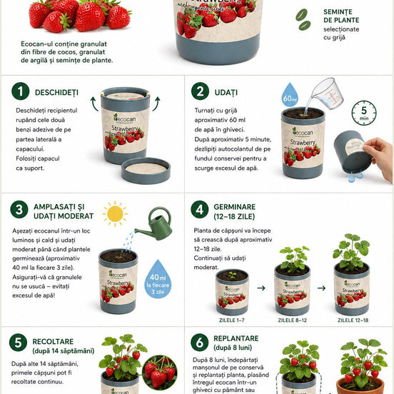Ecocan, Planta de căpșuni, Organic