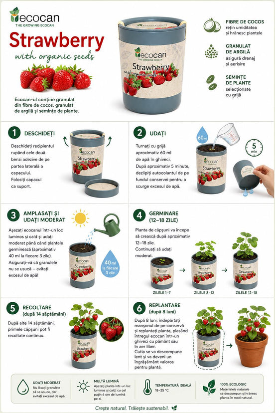 Ecocan, Planta de căpșuni, Organic