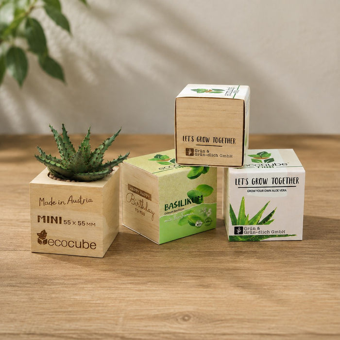 ECOCUBE PERSONALIZAT