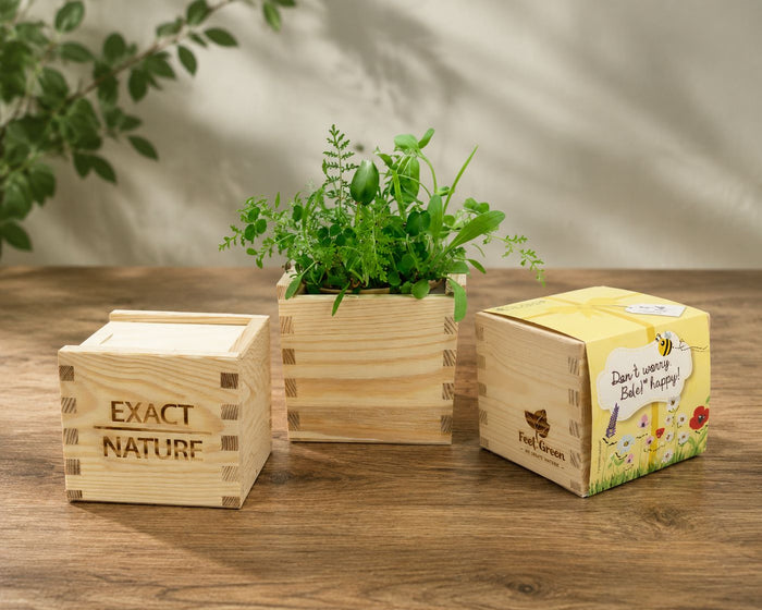 ECOBOX PERSONALIZAT