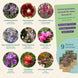 Nostalgia Florilor, stil de grădină rustică veche – Set de semințe - 9 varietăți