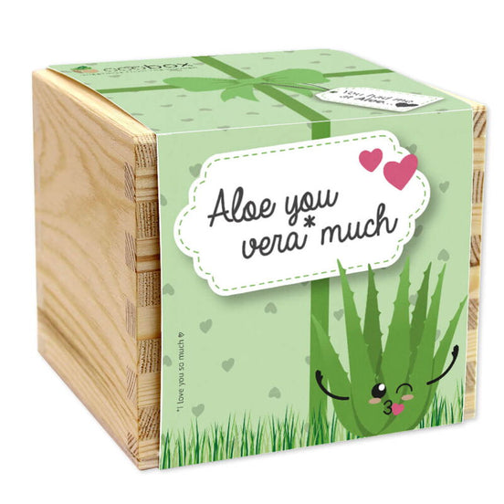 Ecobox, Aloe Vera – Aloe you vera much!