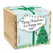 Ecobox, Brad de Craciun, Merry Christmas and a happy new tree*