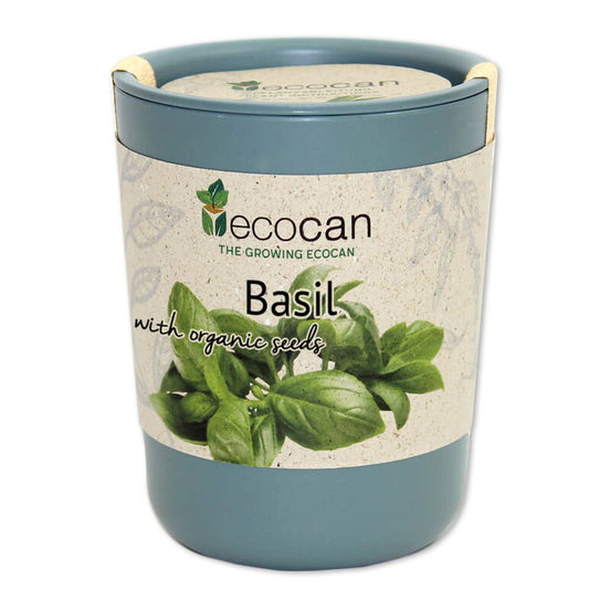 Ecocan, Busuioc, Organic