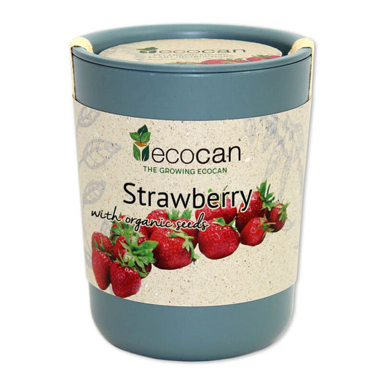 Ecocan, Planta de căpșuni, Organic
