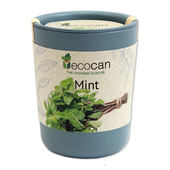 Ecocan, Menta, 9 x 7 cm, 150 g