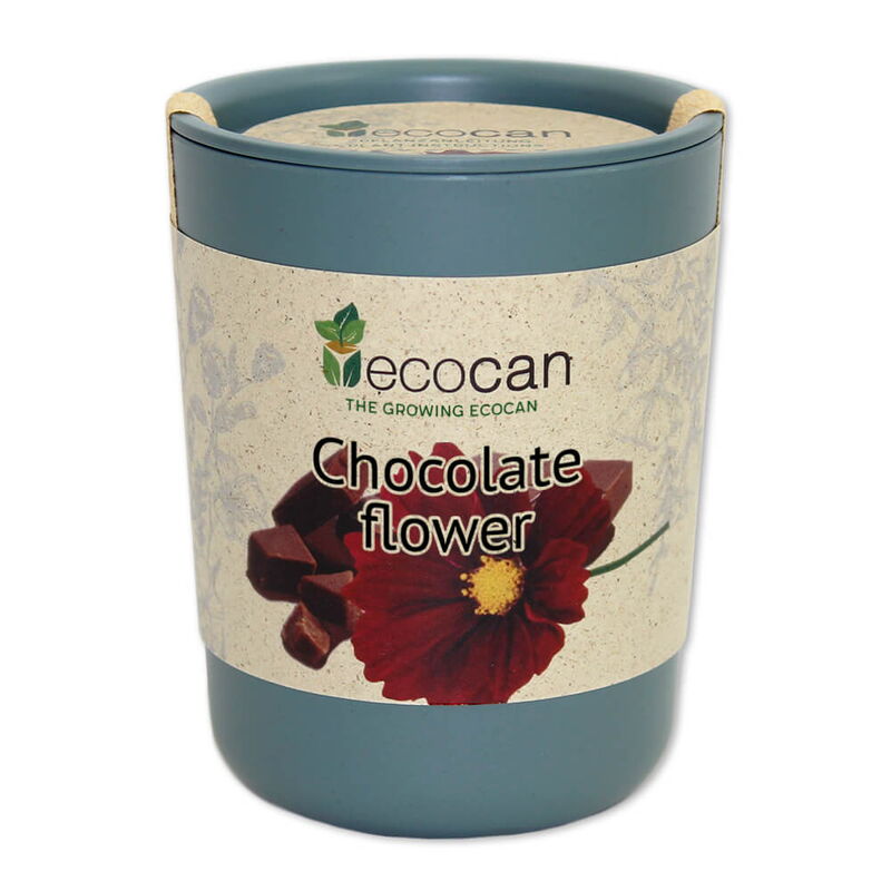 Ecocan, Floarea de ciocolată, 9 x 7 cm, 150 g