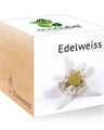 Ecocube, Floarea-de-colt
