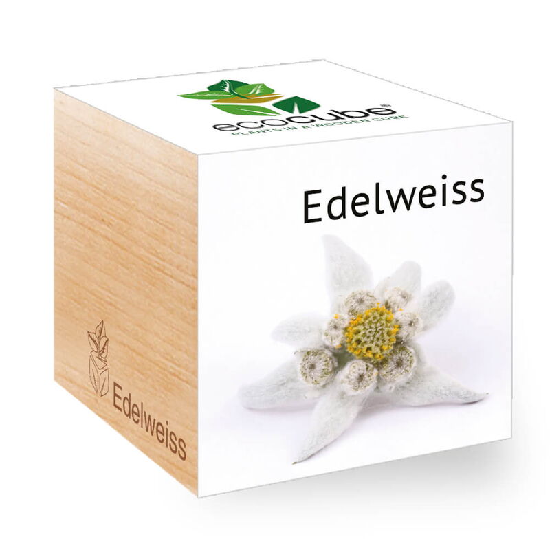 Ecocube, Floarea-de-colt
