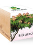 Ecocube, Acacia de mătase