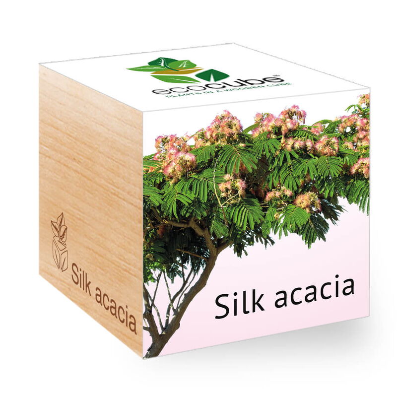 Ecocube, Acacia de mătase