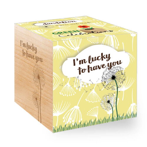 Ecocube Păpădie/ Dandelion - I'm lucky to have you!