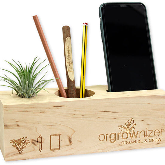 Orgrownizer, Airplant – Organizator de birou cu plantă vie