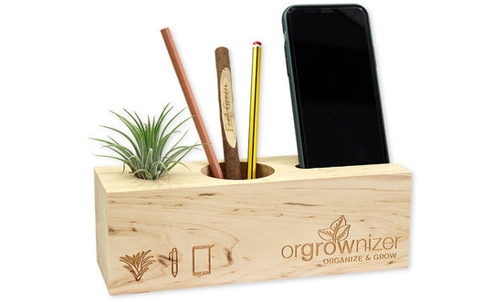 Orgrownizer, Airplant – Organizator de birou cu plantă vie