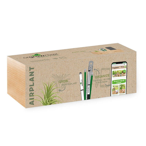 Orgrownizer, Airplant – Organizator de birou cu plantă vie