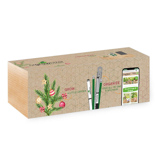 Orgrownizer, Brad de Crăciun – Organizator de birou cu kit de cultivare