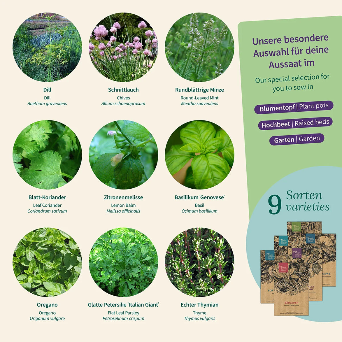 Plante Aromatice: o mini grădină de ierburi pentru balcon și bucătărie – Kit de semințe